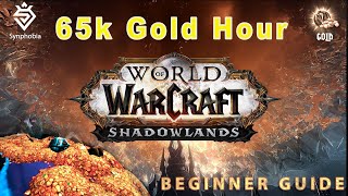 Beginner Guide Making 65k Gold in 1 Hour | Gold farm without Shadowlands Vashj'ir
