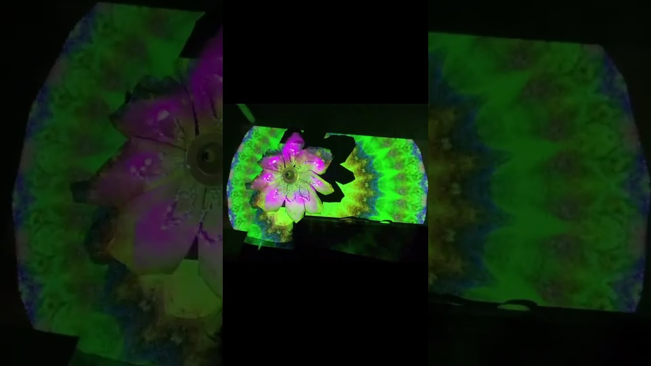 YouTube player