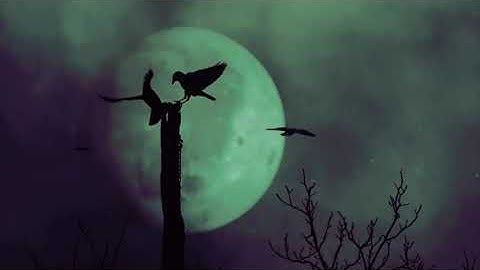 All Hallows’ Eve.   Storyblocks, LumaFusion and Korg Gadget (Module Pro/Fairbanks ‘Halloween’ pack).