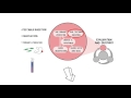 Testable Question Module Quiz