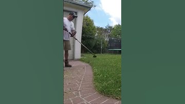 Lawn Edging Grass #edging #mowing #edges #trimmer #shorts