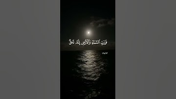 تلاوة القارئ ريان المحيسني #quran