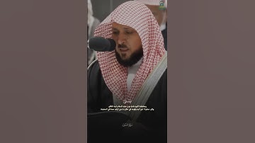 تلاوة خاشعة لسورة هود بكى وابكى الشيخ ماهر المعيقلي