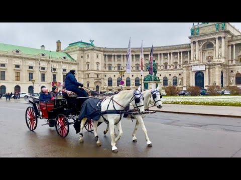 Видео: Описание и снимки на отделянето - Австрия: Виена