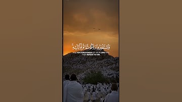 سورة هود - ماهر المعيقلي