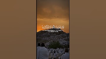 سورة هود - ماهر المعيقلي