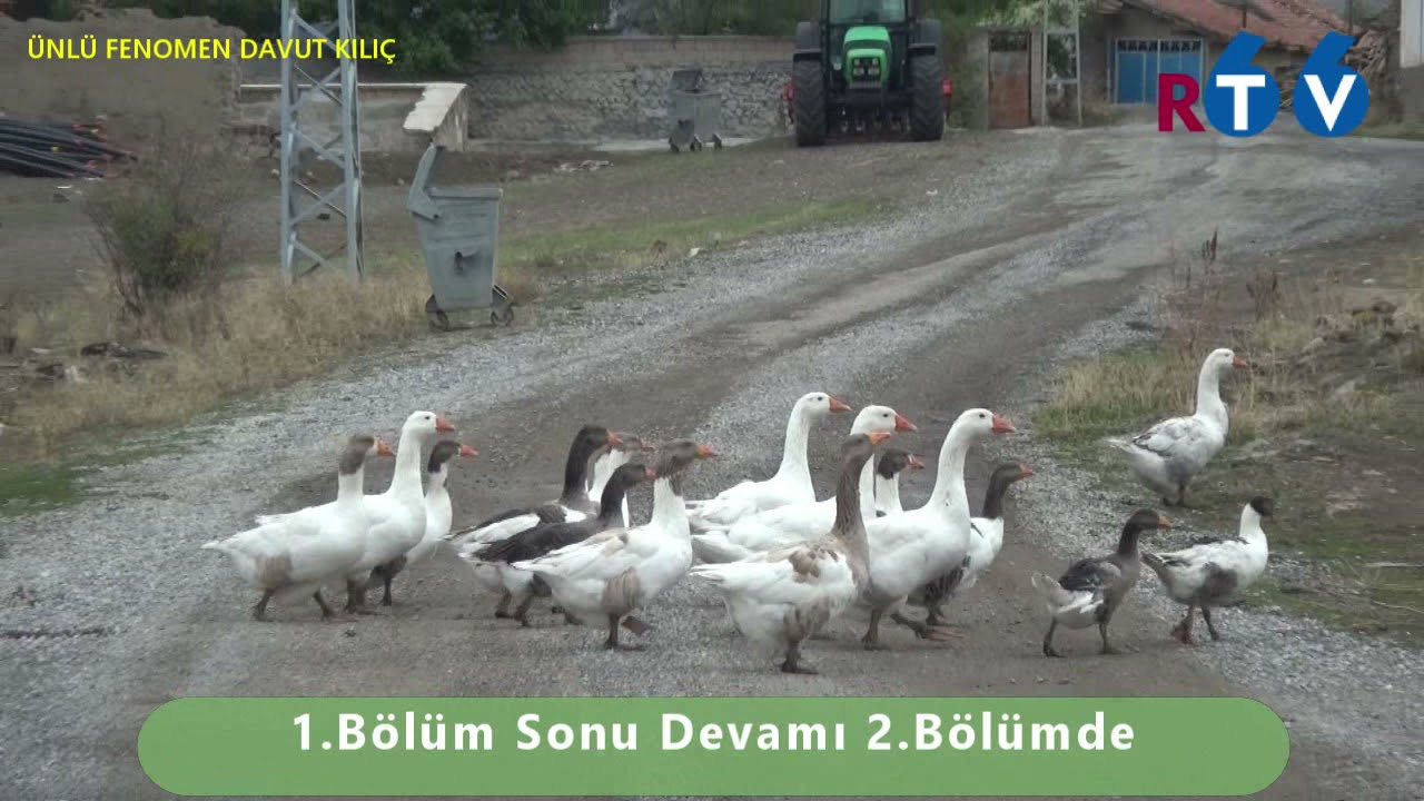 İSMAİLHACILI KÖYÜ