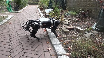 BLDC robot dog walking on outdoor surfaces