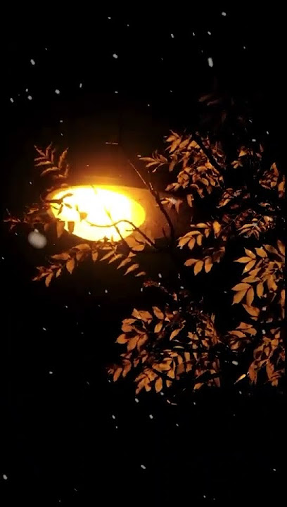 Love Music for Relaxing ✨
