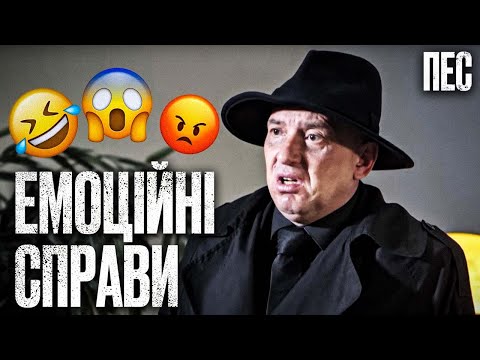Злочинці не стримують емоцій – Серіал Пес 2024 | ДЕТЕКТИВ 2024 | НАЙКРАЩИЙ СЕРІАЛ ПРО ПСА