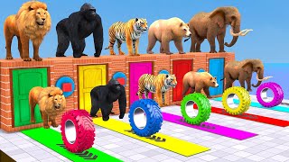 Cow Mammoth Elephant Tiger Gorilla Guess The Right Door ESCAPE ROOM CHALLENGE Animals Tire Game