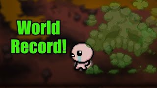 INVINCIBILITY BUG