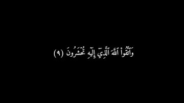 شاشه سوداء سورة المجادلة ( ٩ - ١٠ ) {8} إسلام صبحي #قرآن