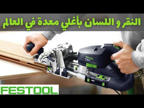 النقر و اللسان بالمعدة الأغلي في العالم