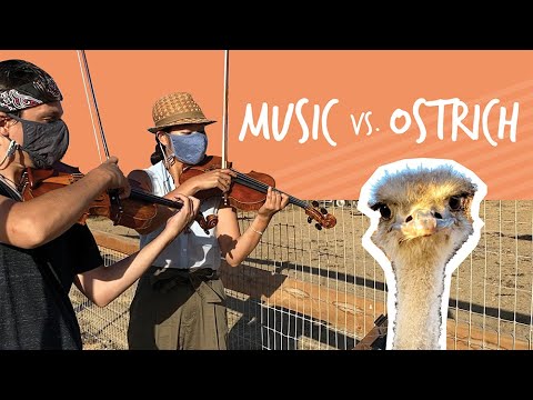 S1EP6: MusiKaravan - Serenade for an Ostrich