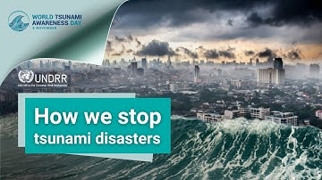 We can’t stop tsunamis — but we can prevent disasters | UNDRR