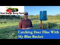 How to get rid of Deer Flies &amp; Yellow Flies with an easy trap