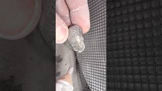 The round nodule opened up just like a geode! 🤯🏝