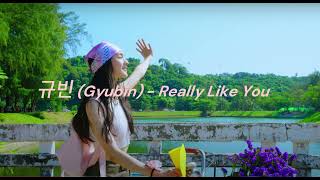 규빈 (Gyubin) - Really Like You One Hour