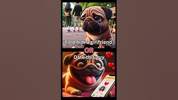 Pugs need love ❤️  #shorts #pug