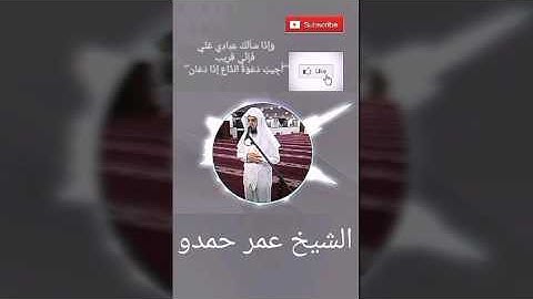 ايات مؤثرة جدا للشيخ عمر ما تيسر من سورة البقرة