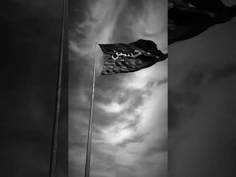 شيعه كرار شجعانا ياعلي مولا ع ل يہ الس لام ادعمونا بالاشتراك لنصل ال 10000 مشترك