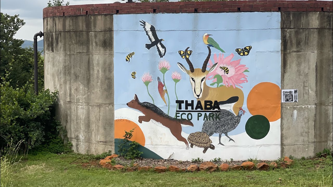 Chasing views, one trail at a time 🥾⛰️