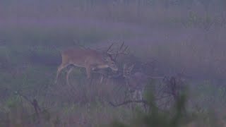 Wildlifers TV | S3 | E10 "From Devastation to Honor Pt. 1"
