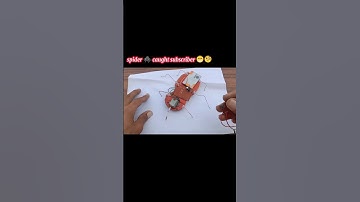 wireless spider robot 🧐🤔😮#youtube #youtubeshorts #ytshorts #viral