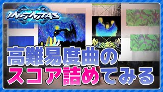 【beatmania IIDX】久しぶりに高難易度のスコア詰めたい【全白皆伝】 #IIDX #vtuber