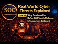 Day 43 | The Stealth Malware Used by China-Linked Spicy Panda – BADAUDIO Explained