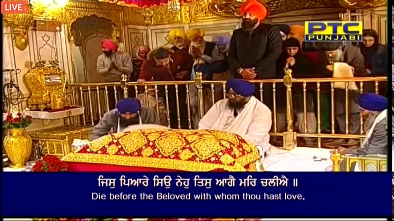 Jis Pyare Seo Neho Tis Aage Mar Chaliye