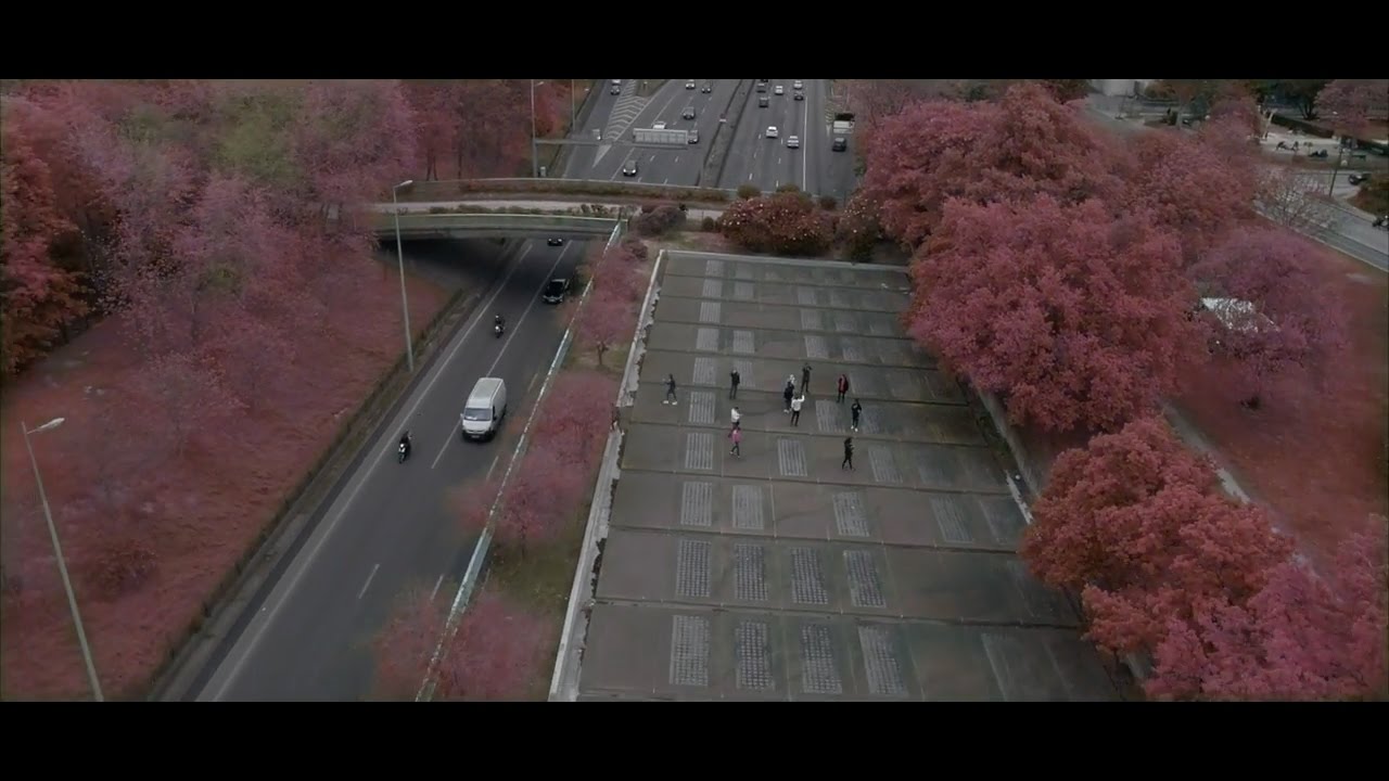 Sas embrouilles a panama