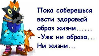 ✔️Давно хотел написать тебе “С днем рождения!”, но не было подходящего повода.. Анекдоты с Волком