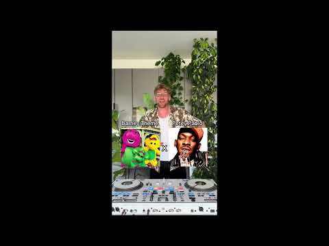 Barney S Theme Song X Freek A Leek DJ Hampster Dance Mashup