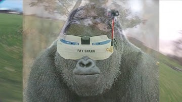 Screw the rain I has conformal coating