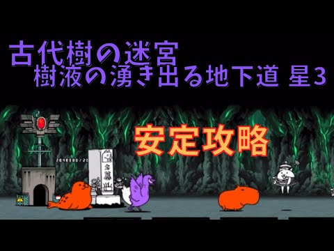 古代樹の迷宮 樹液の湧き出る地下道 星3　安定攻略