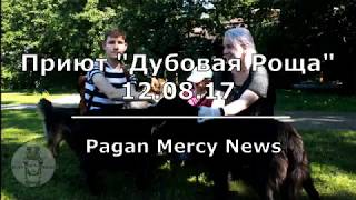 Поездка в приют для собак "Дубовая Роща" 12.08.17 Поездка в приют для собак "Дубовая Роща" 12.08.17