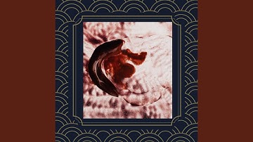 Fiery Backdrops for Funky Jazz