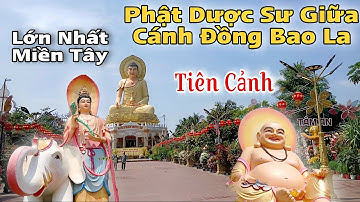 Tượng phật dược sư lớn nhất miền tây nằm giữa cánh đồng, chùa giác hoa bạc liêu, đẹp như tiên cảnh