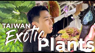 TOP SECRET Private Taiwan Plant Garage  Rare And Exotic Plants | Gesneriads | Begonias | Endemic