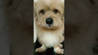 My Hair Wet Wet After Shower Look