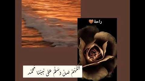 ﴿إِنَّ اللَّهَ وَمَلٰٓئِكَتَهُۥ يُصَلُّونَ عَلَى النَّبِىِّ﴾🤎|سورة الأحزاب|راحة🤍