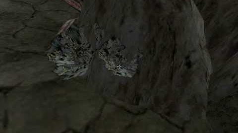 Lets Interactively Play Morrowind Part 20: Fist-fighting! (part 1 of 4)