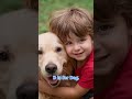 ABC Baby & Toddler Learning Videos | ABC Phonics Song | A for Apple | Nursery Rhymes | ABCD Song