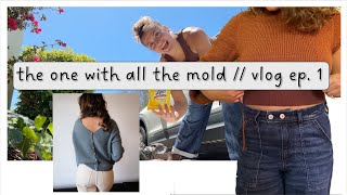 the one with all the mold // knitting vlog ep. 1