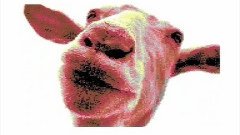 Noice - Goats Who Stare At Men - C64 Demo