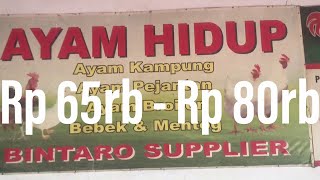 Harga Ayam potong - ayam kampung murah - pasar modern - ayam potong halal syari’ at islam - murah