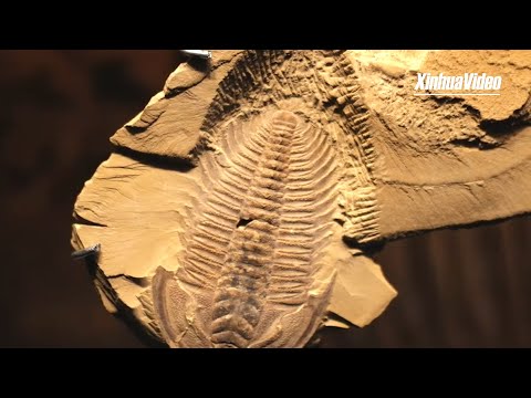 World Heritage in China: Chengjiang Fossil Site