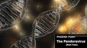 Phoenix Point - The PandoraVirus, Part 2